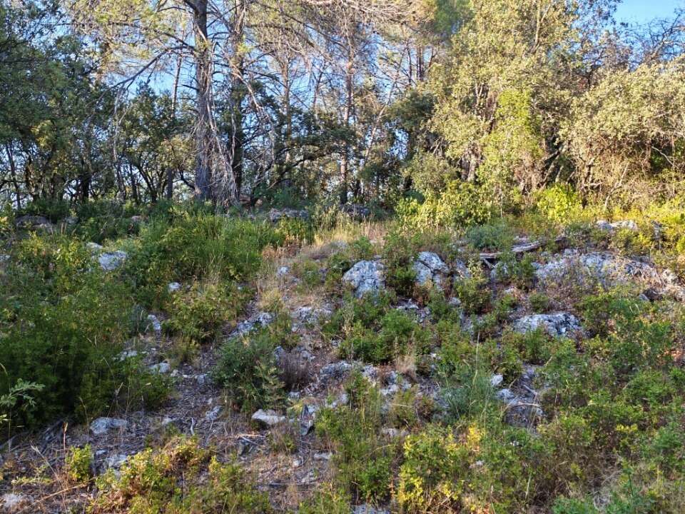 Terrain 1920 m² à Camps-La-Source  - photo 4