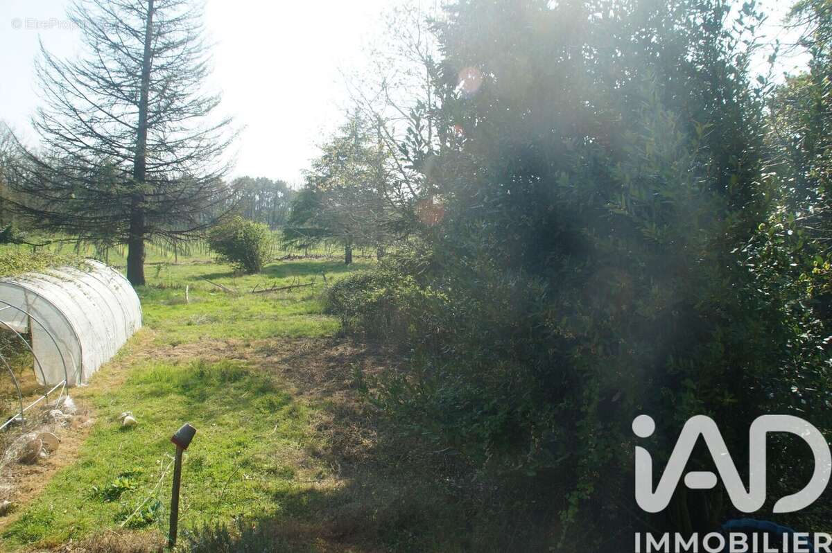 Photo 2 - Maison à MONTCARET
