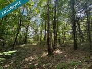 Photo 1 - Terrain à SAINT-VIVIEN-DE-BLAYE