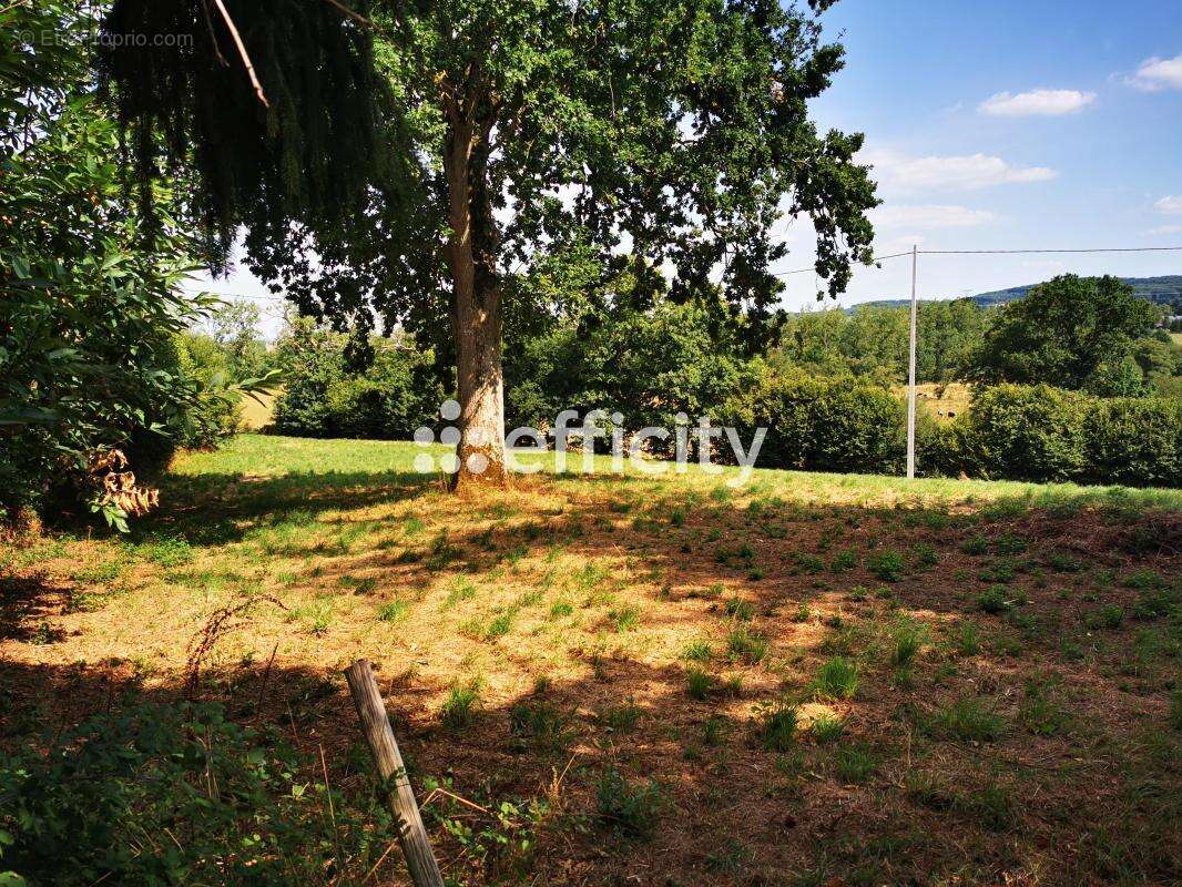 Maison 126 m² à Brecey  - photo 42