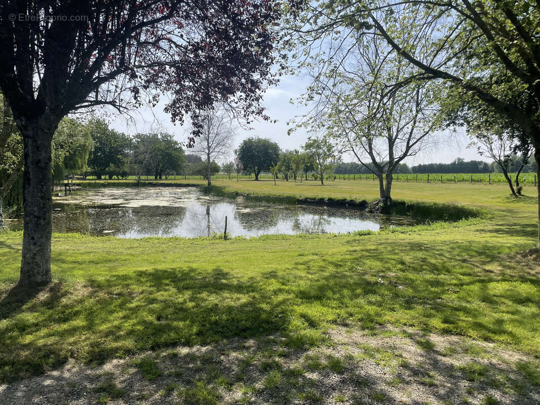 Terrain à LA GUERCHE-DE-BRETAGNE