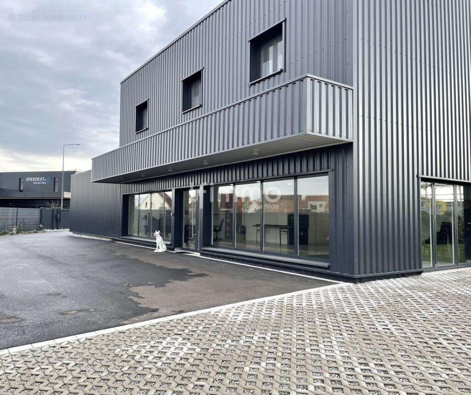 Ensemble immobilier mixte neuf sur 16 ares à Beinheim (67930) - photo 2