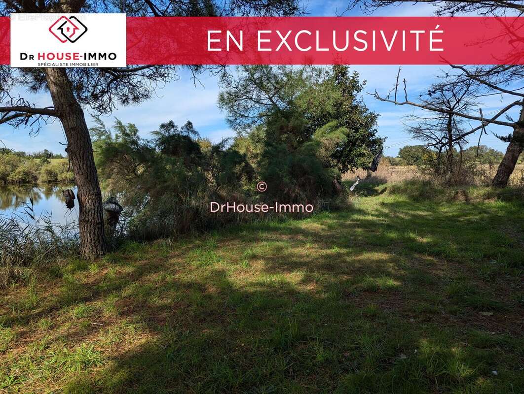 Terrain à L&#039;ILE-D&#039;OLONNE