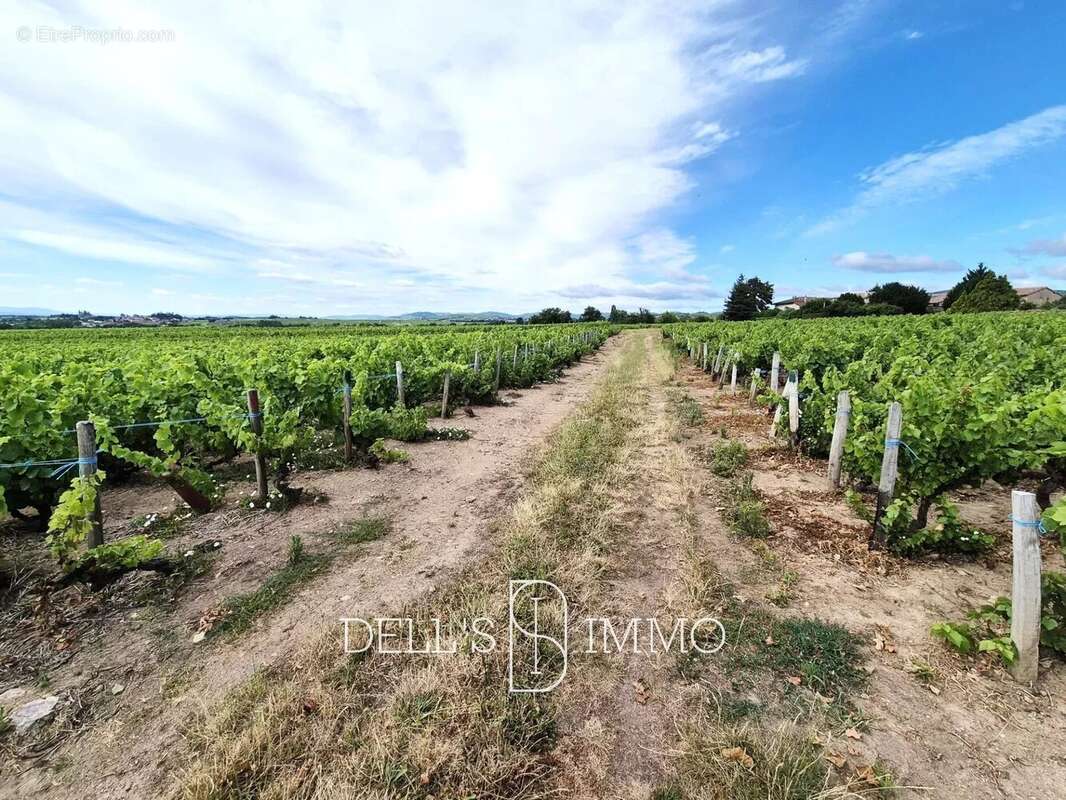 Terrain à FLEURIE
