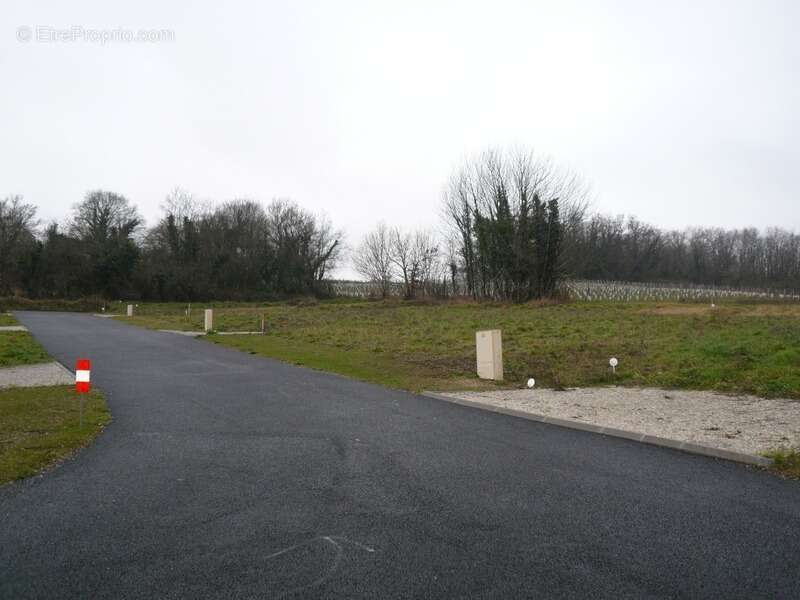 Terrain à SAINT-LAURENT-DE-COGNAC