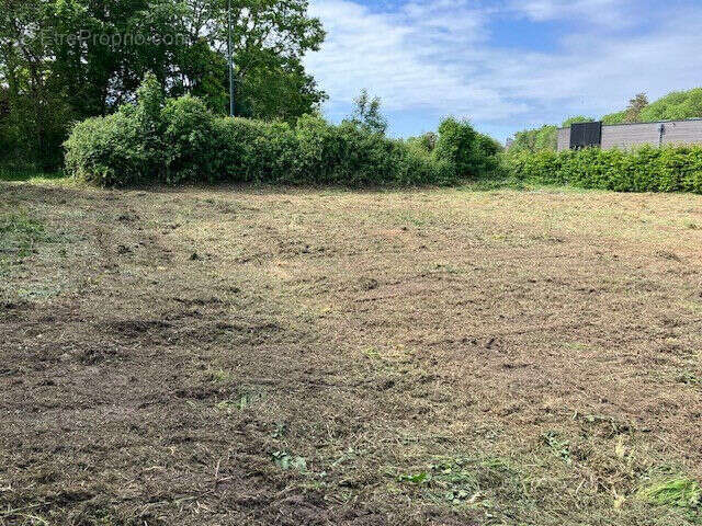 Terrain à AGON-COUTAINVILLE