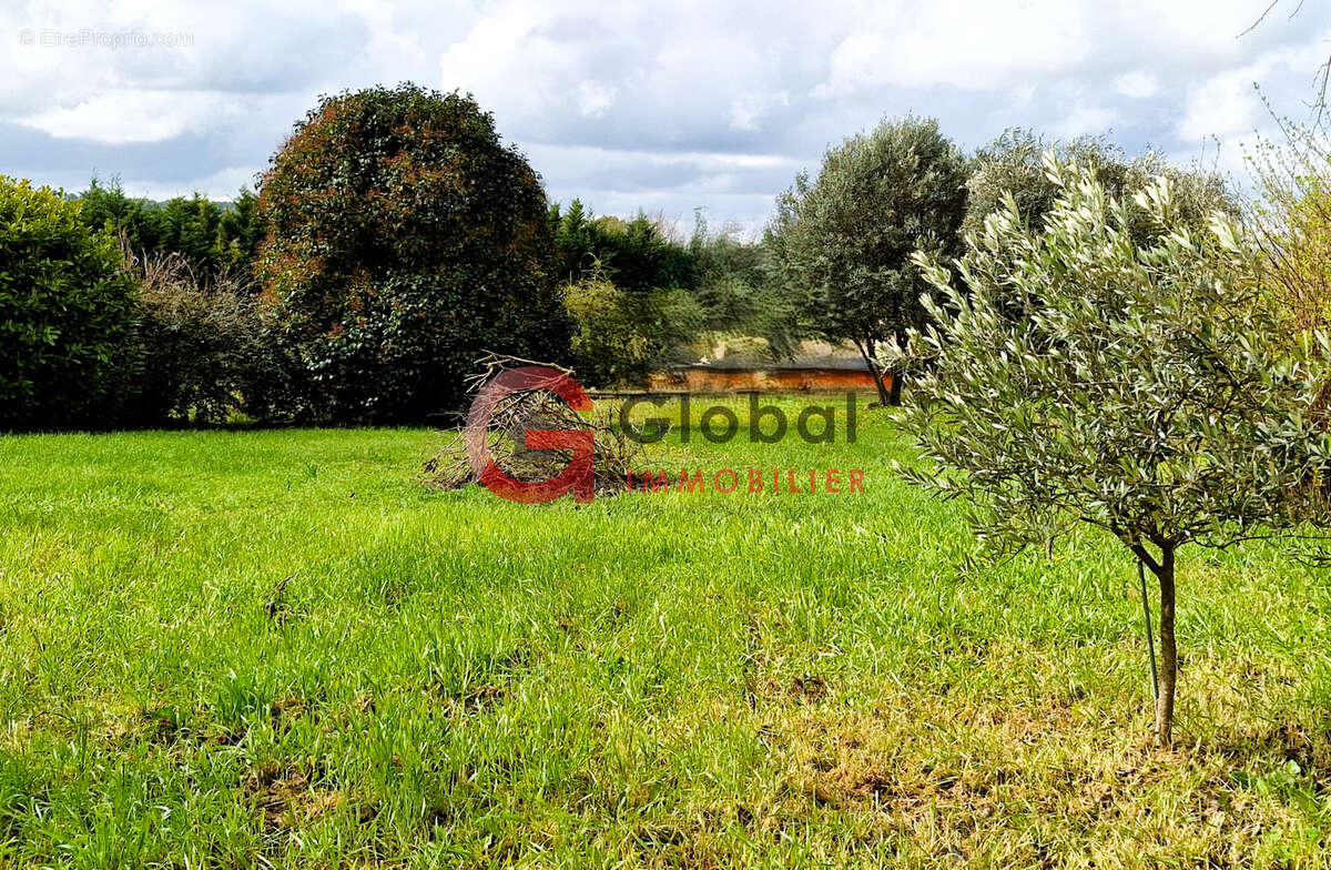 Terrain à VILLECROZE