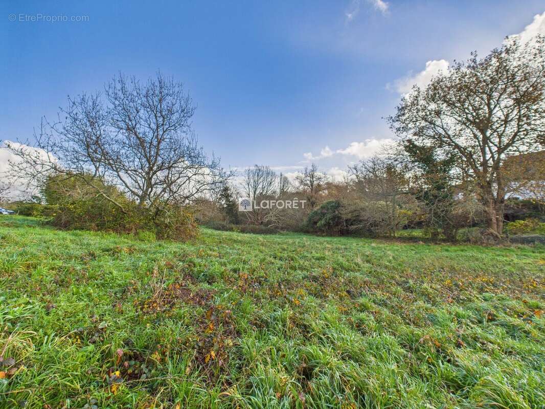 Terrain à PLEUVEN