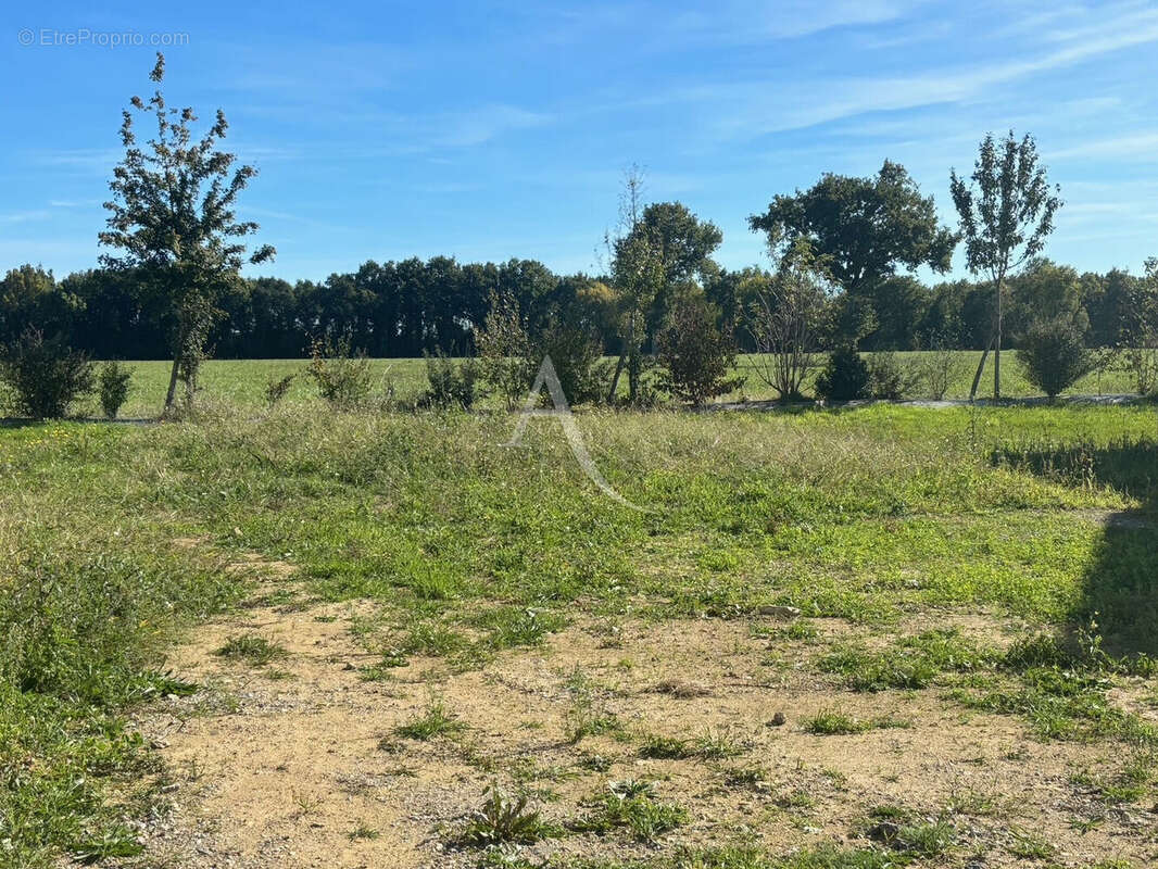 Terrain à SAINT-MARS-DU-DESERT