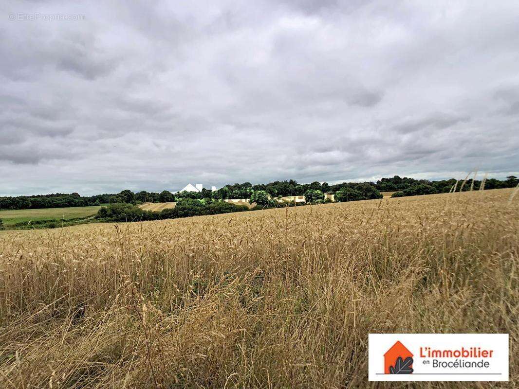 Belle longère rénovée en Brocéliande - photo 19