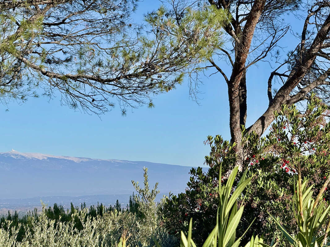 Maison à JONQUERETTES