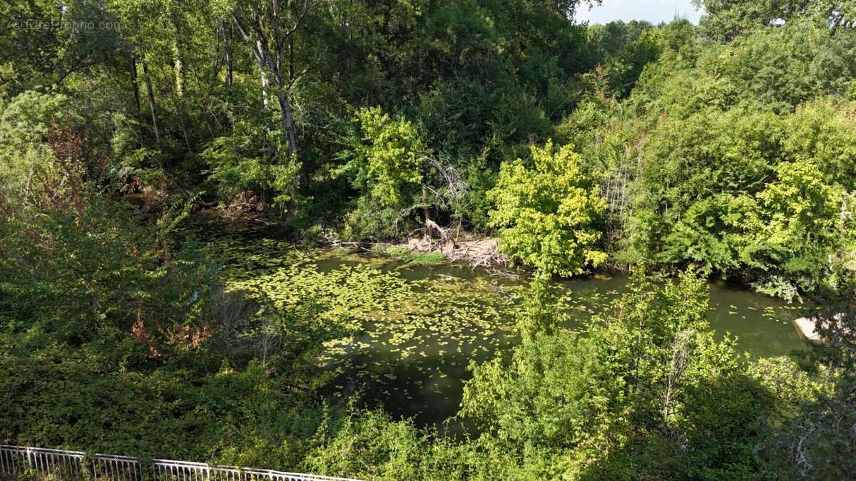 Demeure de prestige avec parc - photo 11