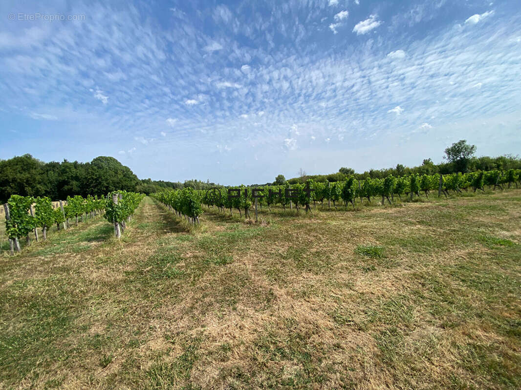 Terrain agricole Arveyres 21 820 m2 - photo 3