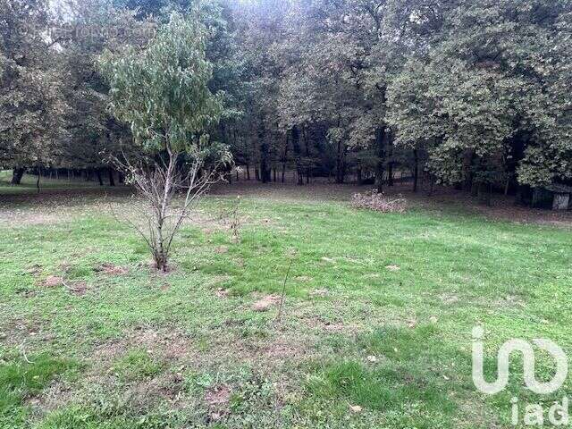 Photo 7 - Maison à COUTRAS