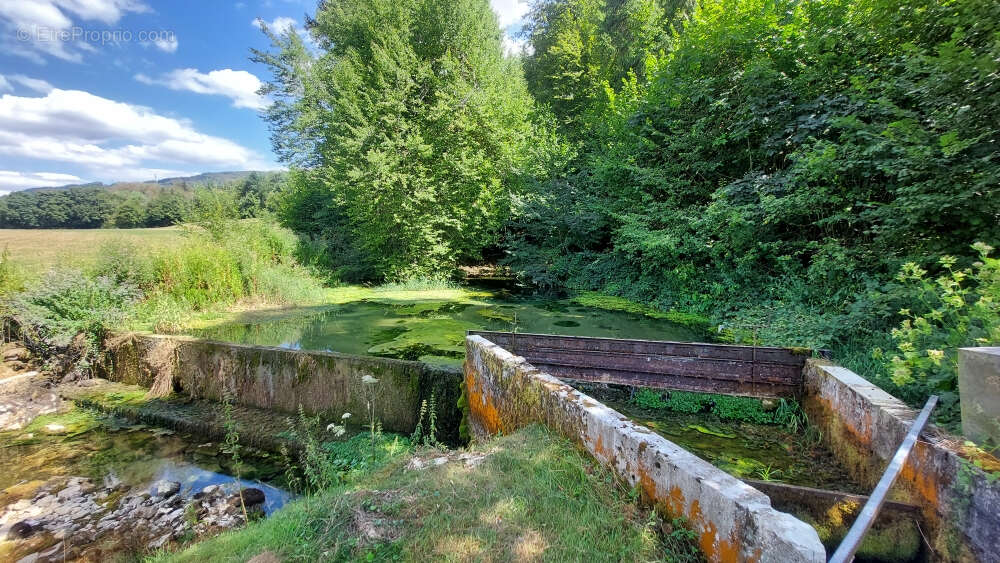Pisciculture - murs et fond de commerce - 1.081 hectare - photo 8