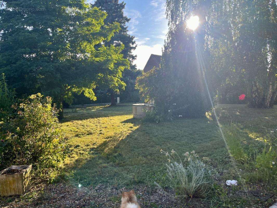 Maison 315 m² à Abbecourt  - photo 16
