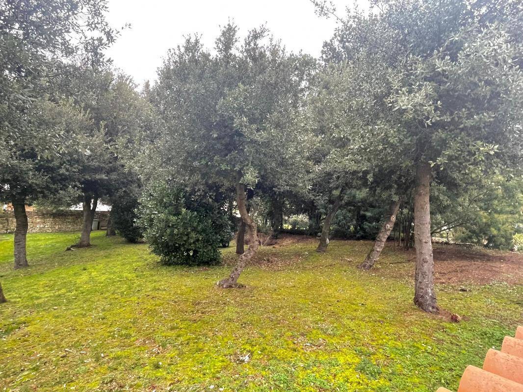 Terrain à SAINT-TROJAN-LES-BAINS