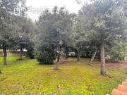 Terrain à SAINT-TROJAN-LES-BAINS