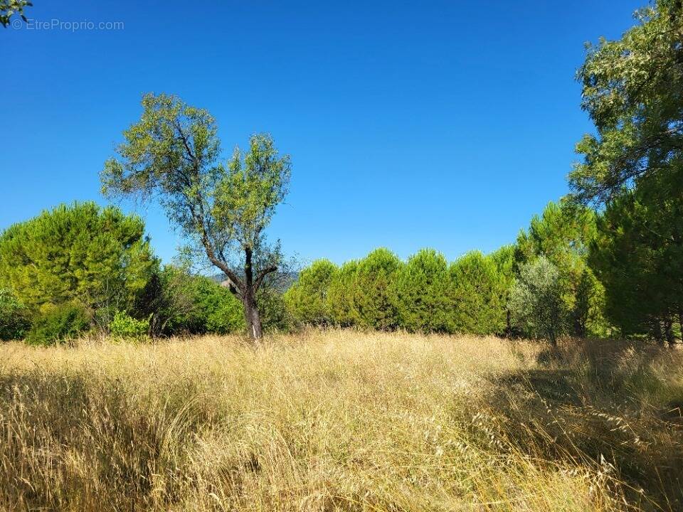 Terrain à ALES