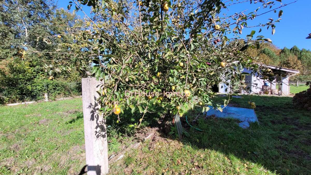 Terrain à SAINT-AUBIN-DE-MEDOC