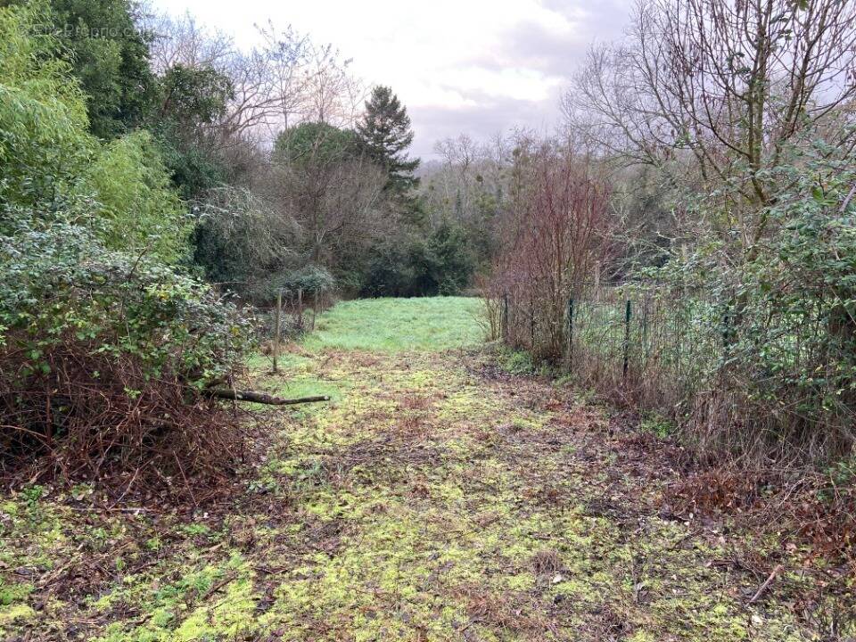 Terrain à LE TEICH