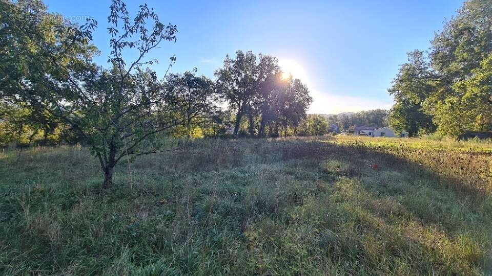 Terrain à SAINT-PAUL-CAP-DE-JOUX