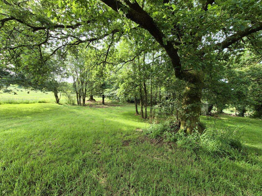 ncien Presbytère de Charme avec beaux volumes et terrain att - photo 8