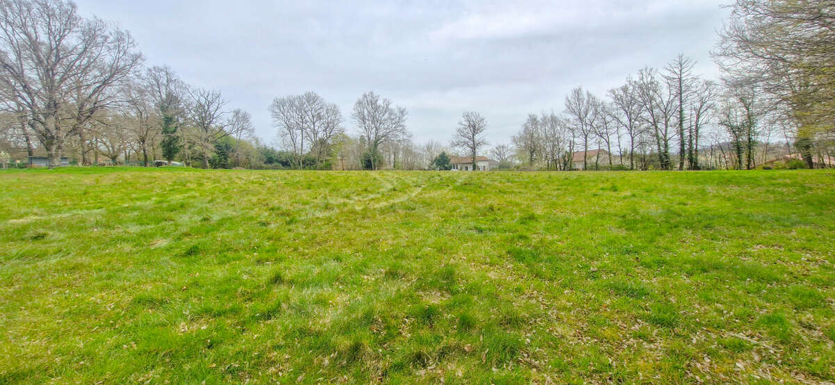 Terrain à CHABANAIS