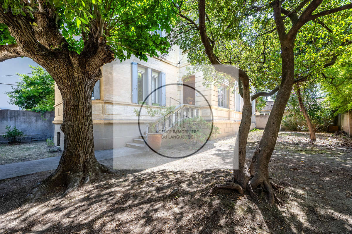 Maison à MONTPELLIER