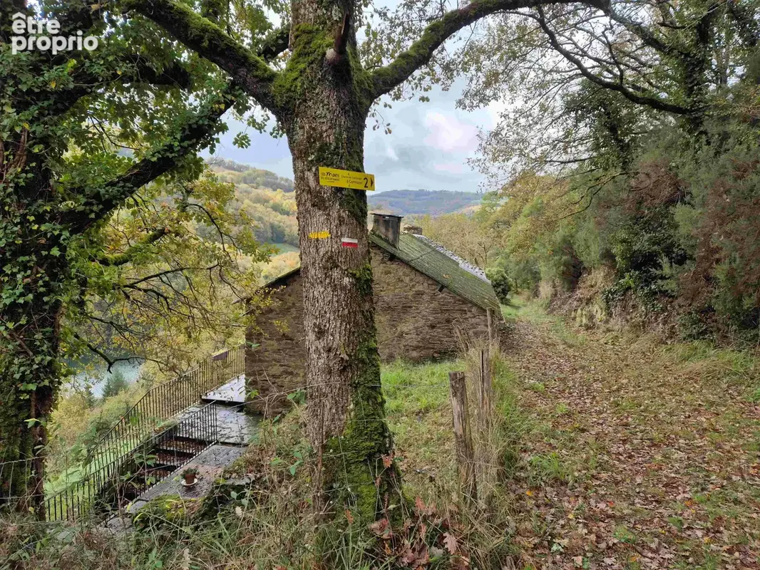Bois - 2500 m2 avec vue sur le Tarn - photo 2
