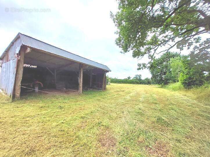 Terrain à SAINT-DENIS-LE-GAST