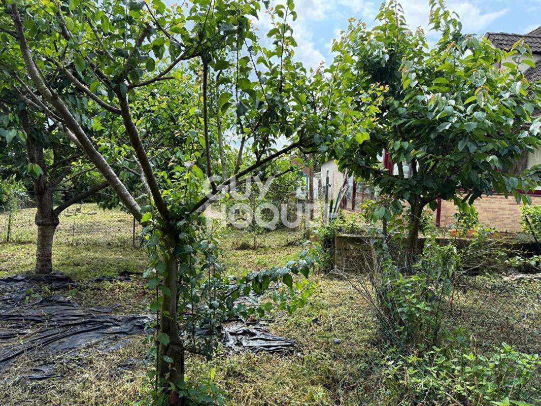 Maison à fort potentiel à Marqueglise - photo 6