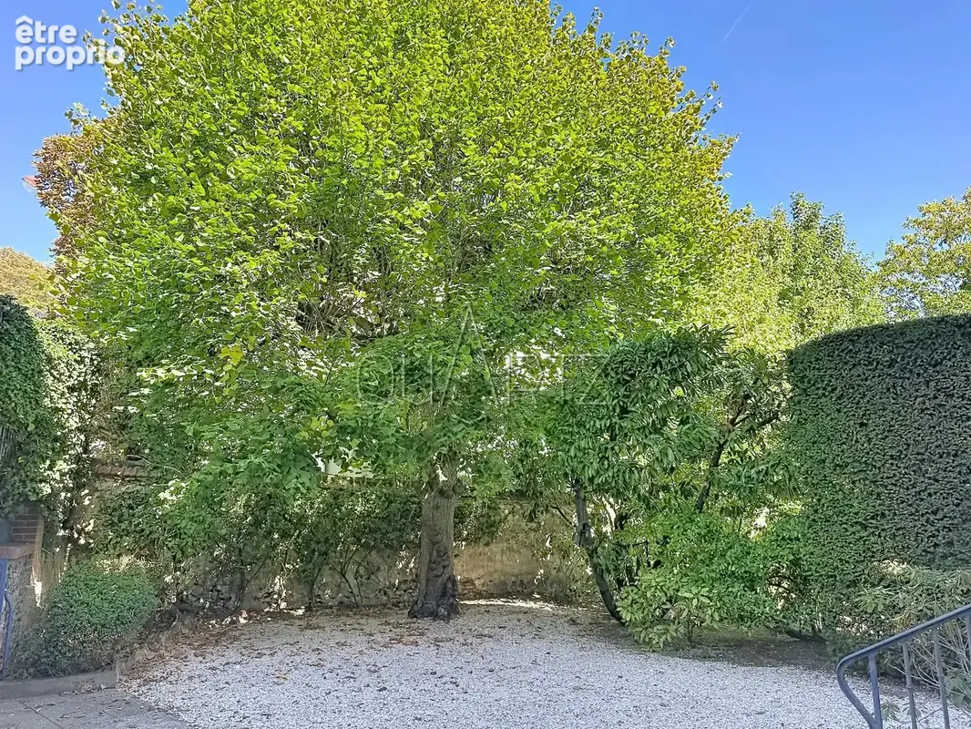 Versailles Rive Droite - photo 7