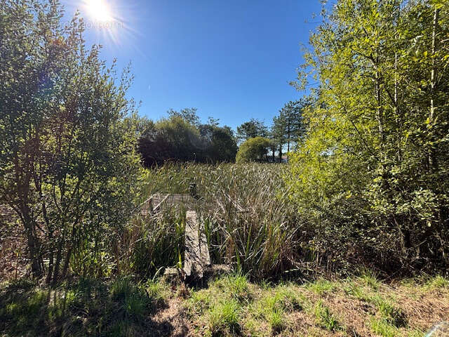 Terrain à TALMONT-SAINT-HILAIRE