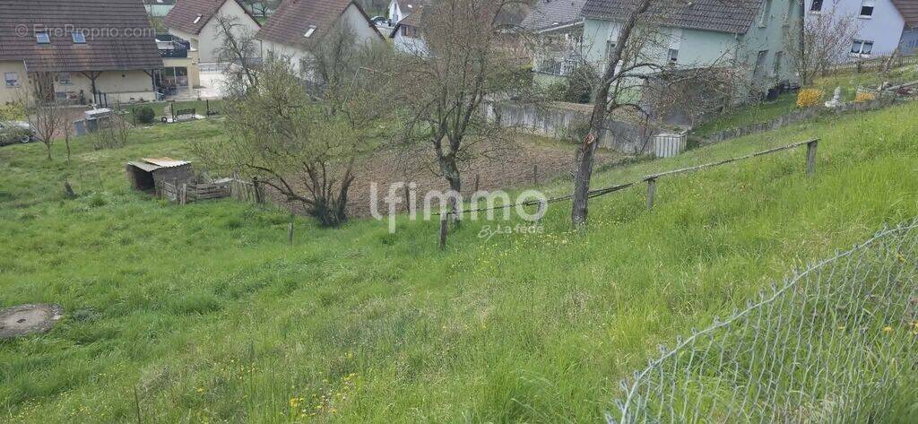 Terrain à WITTERSDORF