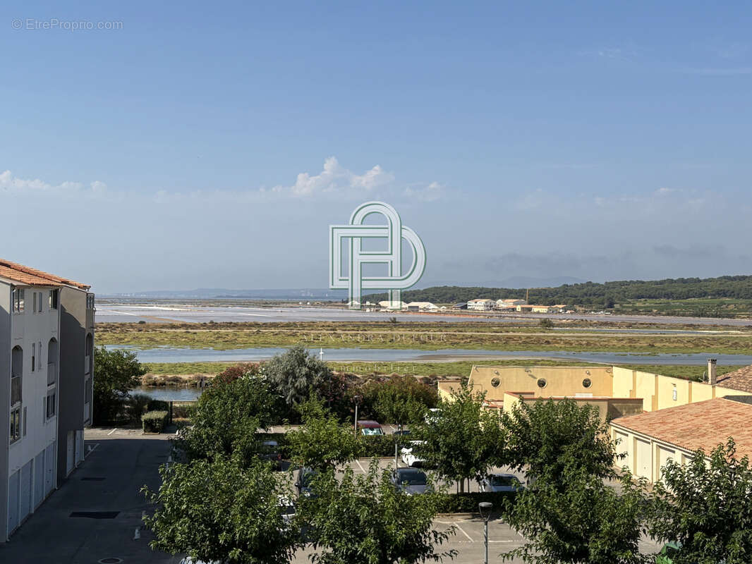  Appartement T2 et cabine de 36 m2 - VUE SALINS - photo 6