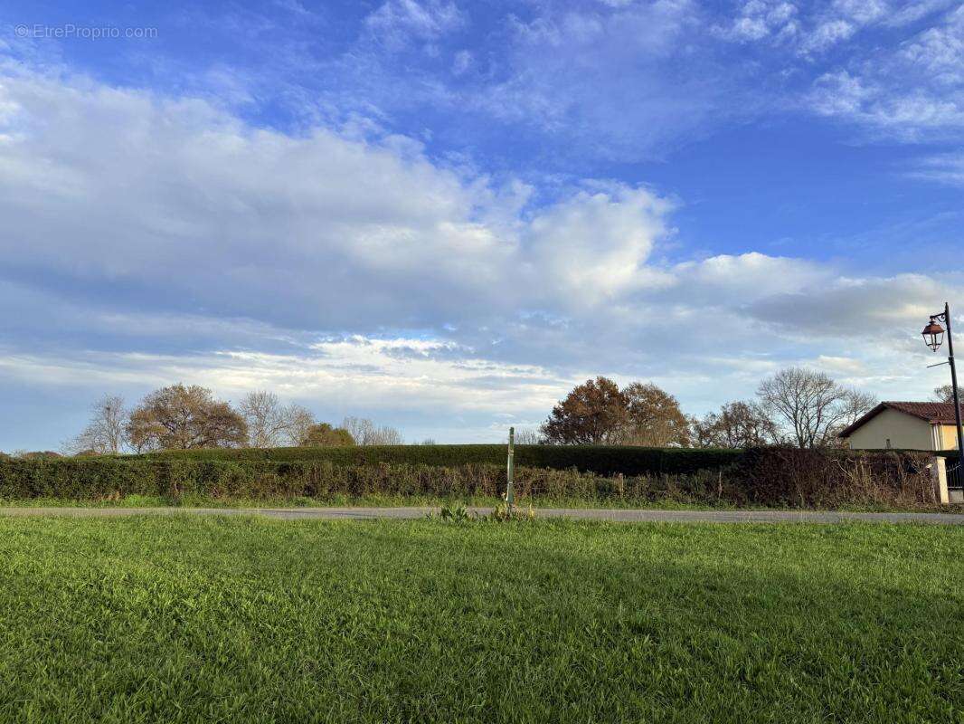 Terrain à BRASSEMPOUY