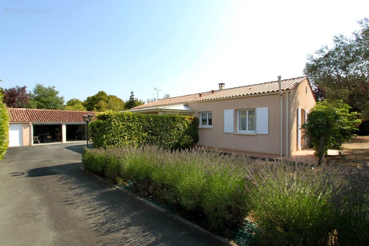 Maison à SAINT-MARD