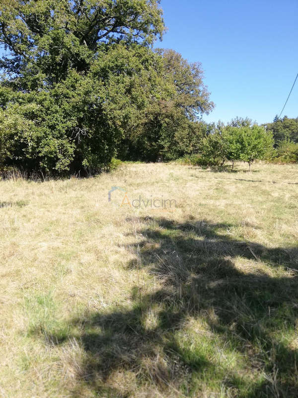 Maison à LA CHATRE-LANGLIN