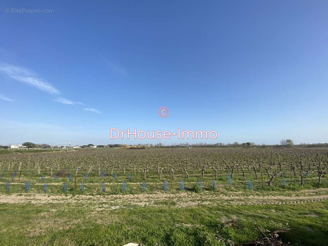 Maison à AIGUES-MORTES