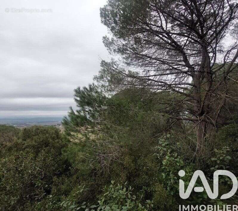 Photo 9 - Terrain à GENERAC