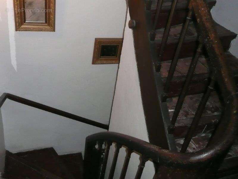 Commerce à CARCASSONNE