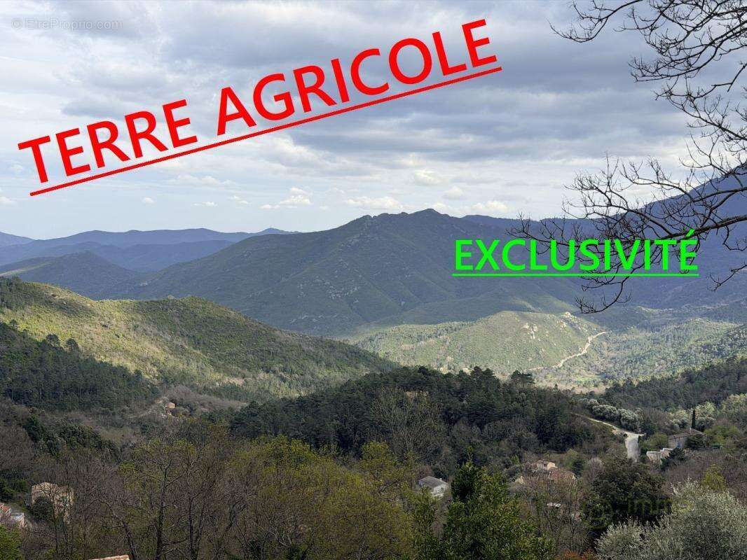 Terrain à VENACO