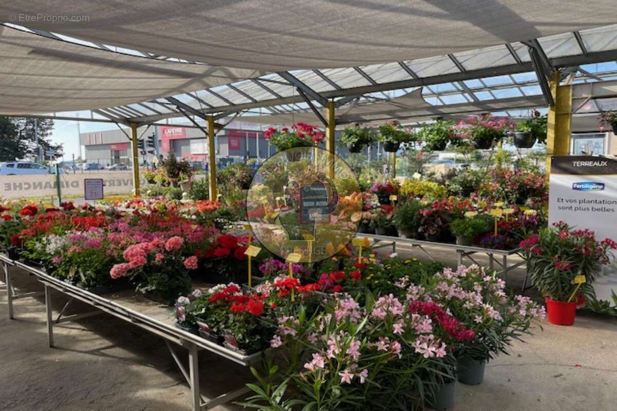 Commerce à MARSANNAY-LA-COTE