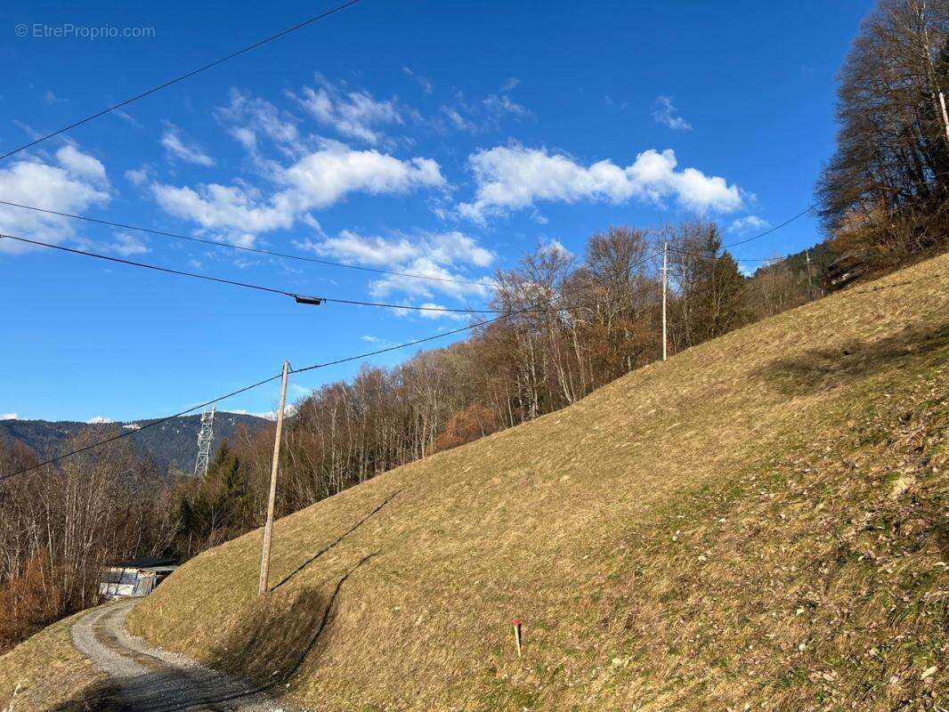 Terrain à QUEIGE