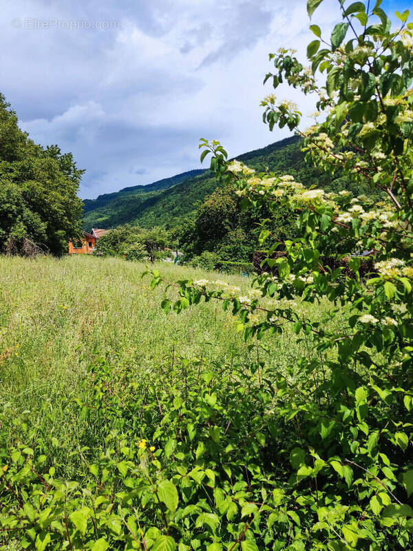 Terrain à ALLEVARD
