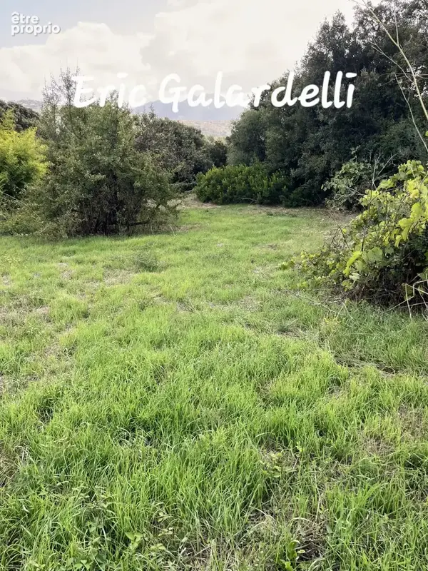 Terrain à vendre Exclusif– Terrain à bâtir arboré  de 2 000 m² avec vue mer  OLMETO (20) - photo 3