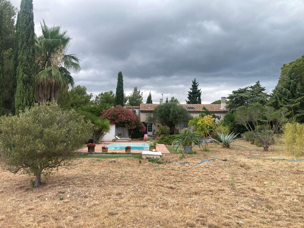 Gruissan, à 3kms des plages, maison de caractère rénovée avec 5 chambres, sur un parc de 2,5 hectares, avec pi - photo 20
