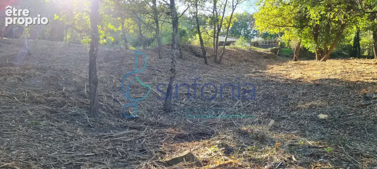 Proche Uzès et Bagnols, terrain constructible de 1500m2 à vendre à Pougnadoresse - photo 7