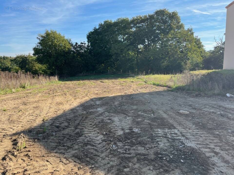 Terrain à SAINT-ANDRE-DE-LA-MARCHE